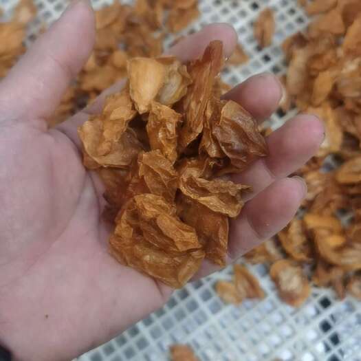 攀枝花长期生产批发枇杷干无糖原味健康食品