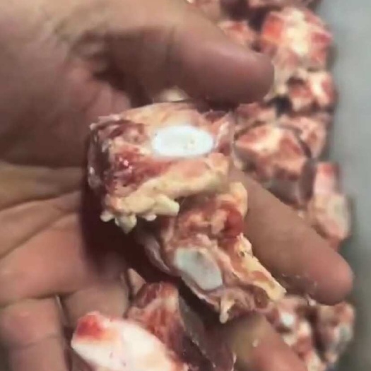 大厂县原切牛排脆骨 ，牛肉类产品 河北廊坊发货