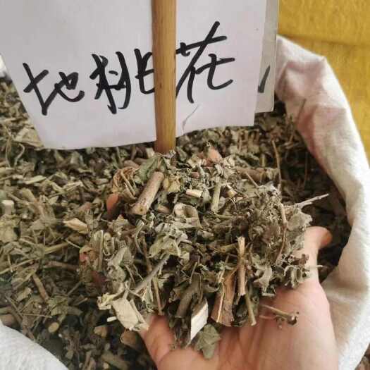 亳州中药材地桃花梵天花根八卦草 肖梵天花 纯根切片晒干新货