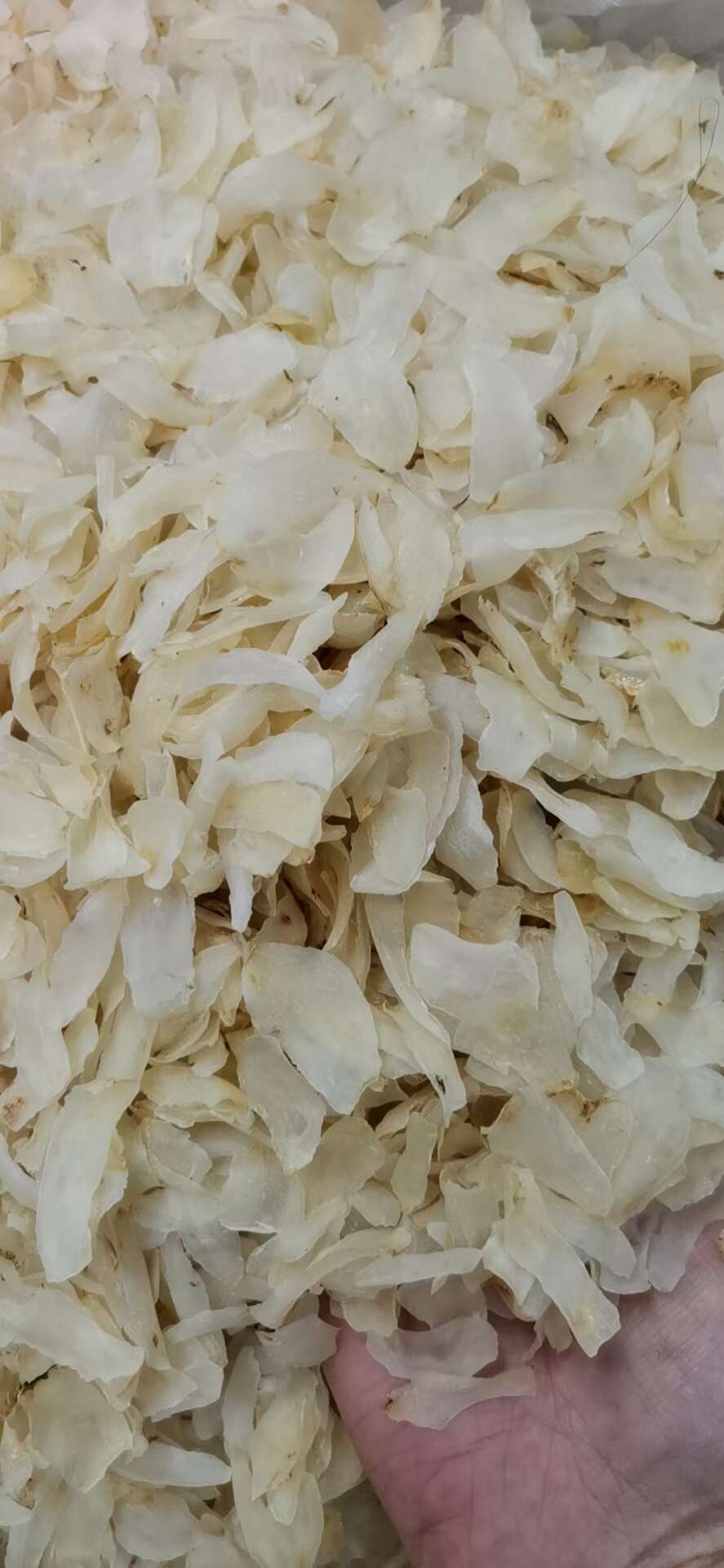 兰州百合干无硫干货食用特甜白合干片农家自产放心食用包退换