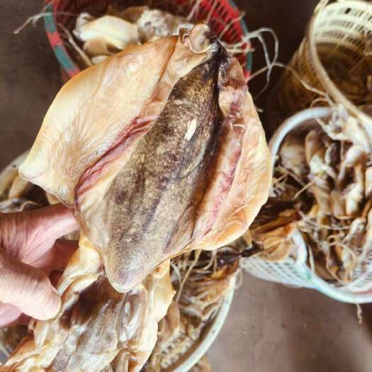 东山县炖汤佳品东山新晒墨鱼干墨鱼煲汤大墨鱼干目鱼干