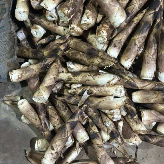 万年县精品高山雷笋