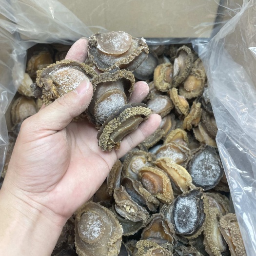 即食干鲍原材料，酒店会所宴席，商超，一手大货 私聊询价