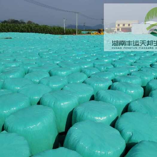 益阳湖南益阳青贮青储批发10吨起发方圆300公里左右高蛋白牛羊饲
