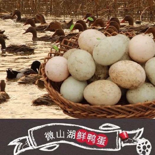 微山县微山湖优质水源散养麻鸭蛋红心鸭蛋土鸭蛋鲜鸭蛋