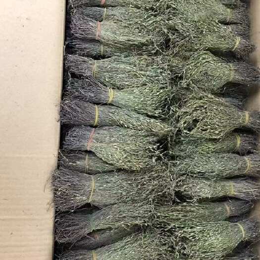 独脚金  独脚金干货直发 批发  直售