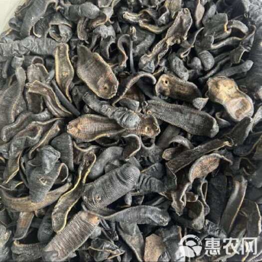 启东市水蛭干品