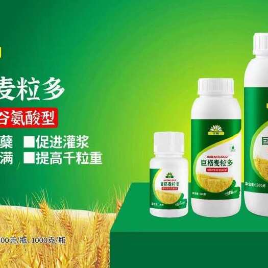 郑州麦粒多，降低成本、增加产量