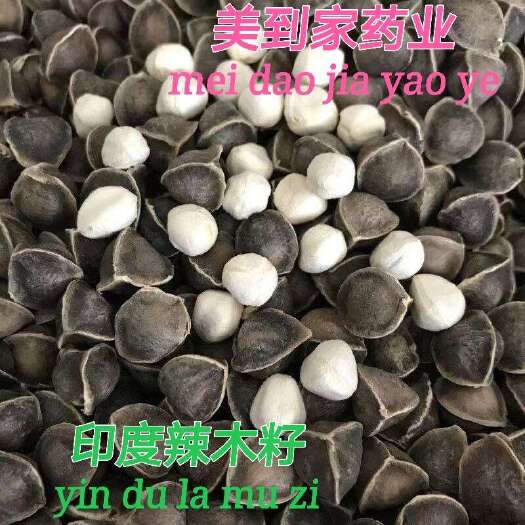 亳州辣木籽正品印度老树食用天然辣木籽精选大果好货质量保证