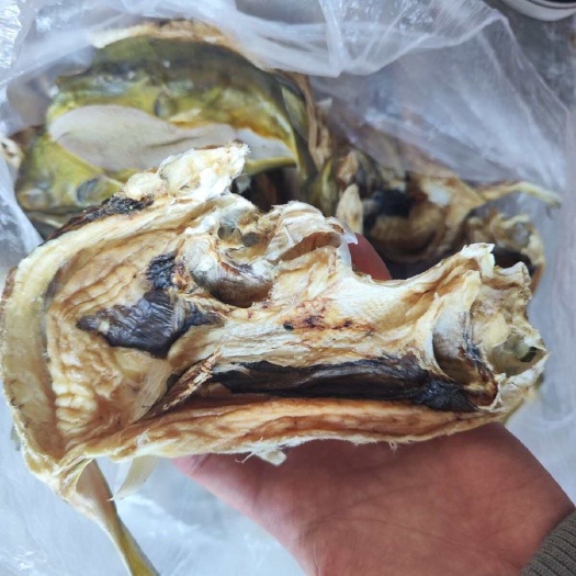 北海北海海城区鲑鱼干海味
