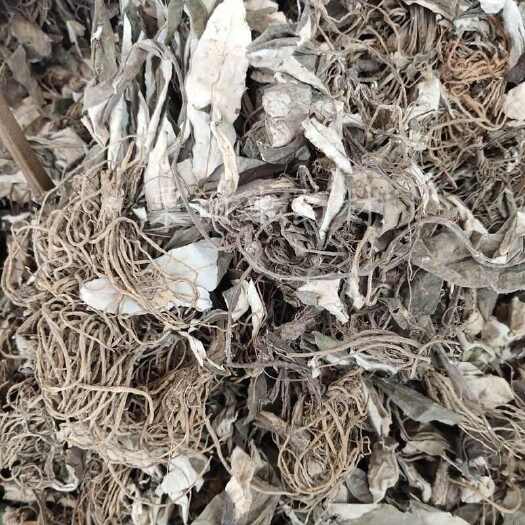 亳州中药材白眉草 四皮香贴地香黑眉草