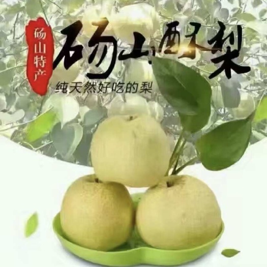砀山县砀山精品酥梨  果重200克—300克左右 新鲜采摘砀山直发