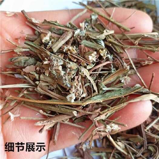 亳州中药材正品二色草 鬼见愁 秃子花草 燎眉蒿 当季新货