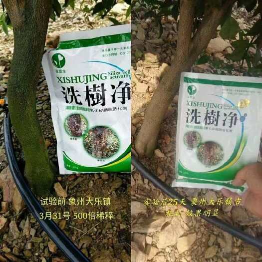 上林县福旗生 洗树净 果树病 除青苔 果树腐烂病 不刮皮轮纹病