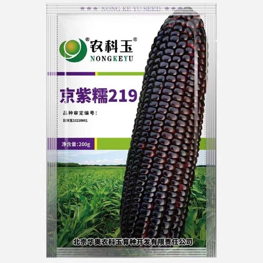 泌阳县农科糯336 京科糯609京紫糯219甜糯玉米种子白糯玉米种