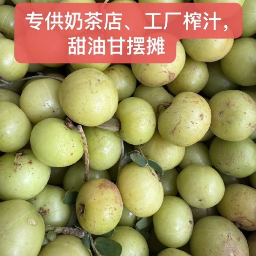 普宁市广东丙甜油甘，市场摆摊奶茶店榨汁