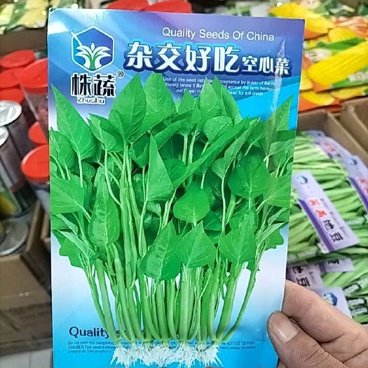 长沙三叉空心菜种子