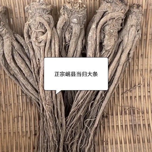 甘肃定西岷县当归大条发货原色原味无硫熏当季新货煲汤