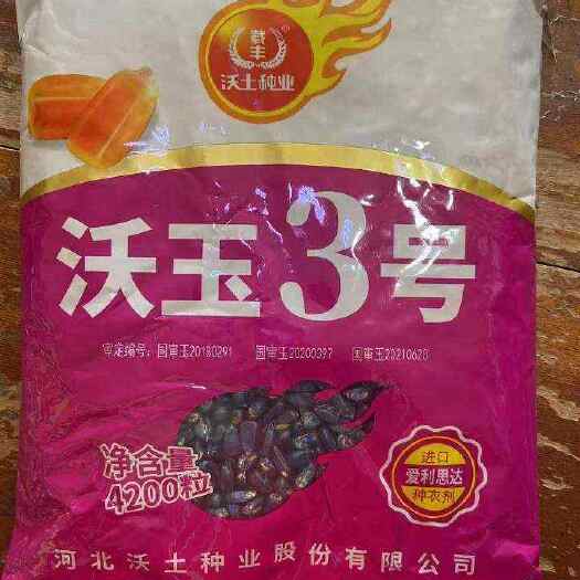 平度市玉米良种到货，品种全，价格低，量大从优，欢迎订购