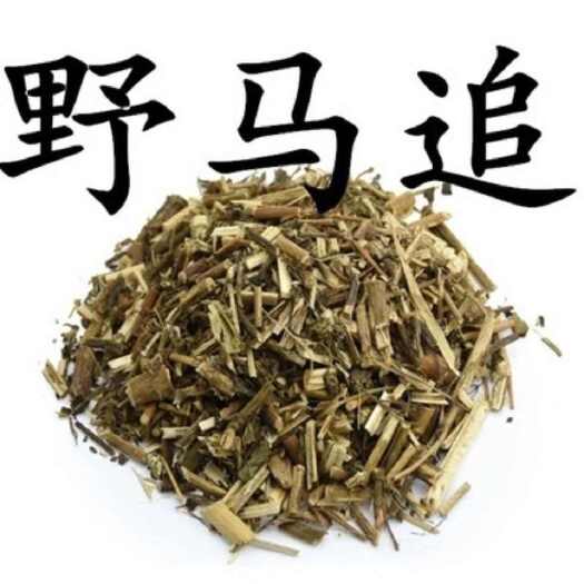 亳州马追 中药材正品天然 尖佩兰白头婆 白鼓钉化食草中草药