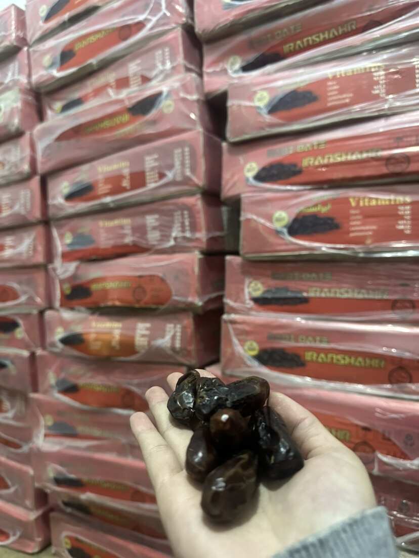 黑椰枣