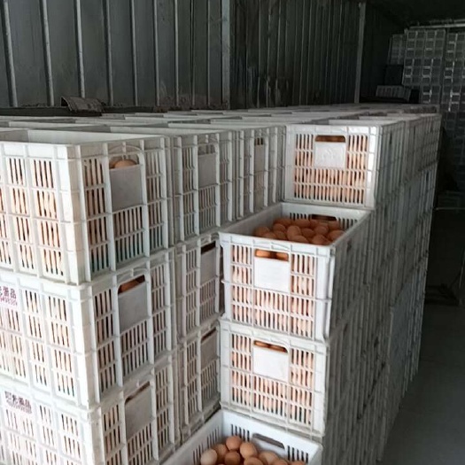 郑州红壳鸡蛋