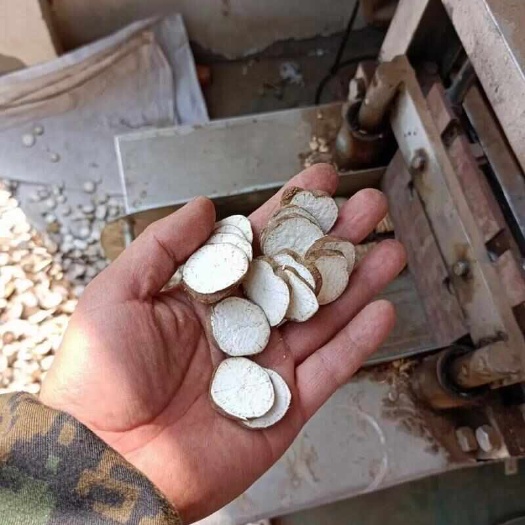 宁都县江西防己 粉防己片产地直发 货源充足 欢迎订购