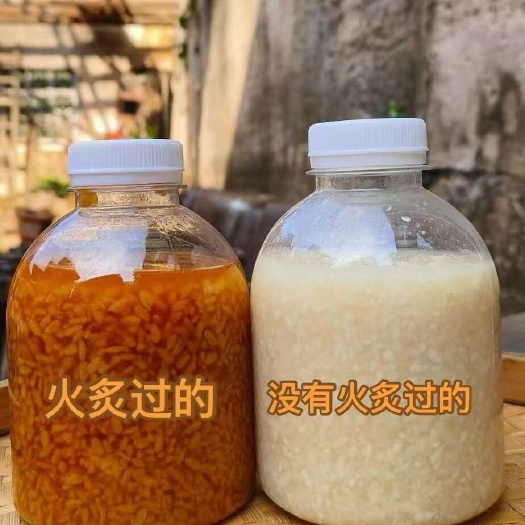 平远县广东客家酒酿醪糟米酒农家自酿醪糟糯米酒甜酒酿蛋包邮