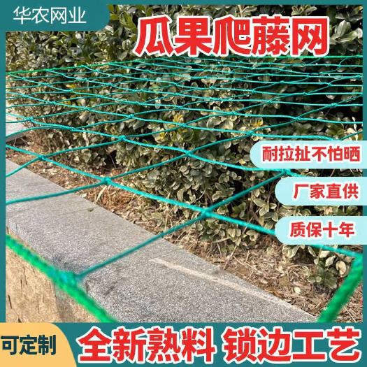 沭阳县加粗植物爬藤网百香果丝瓜黄瓜吊瓜葡萄苦瓜豆角专用攀爬网搭架网