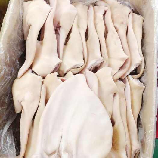 湘潭新鲜猪耳朵冷冻生猪耳带耳根耳朵卤菜店食堂猪耳朵干净无毛