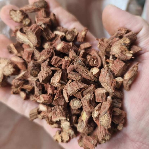 玉林【丹参】中药材 广西玉林玉州区发货 根茎饱满质优 中药材铺货