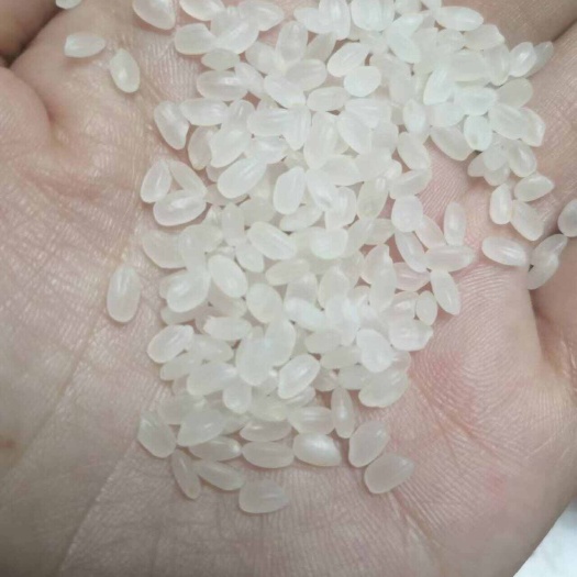 沈阳珍珠米现货15吨