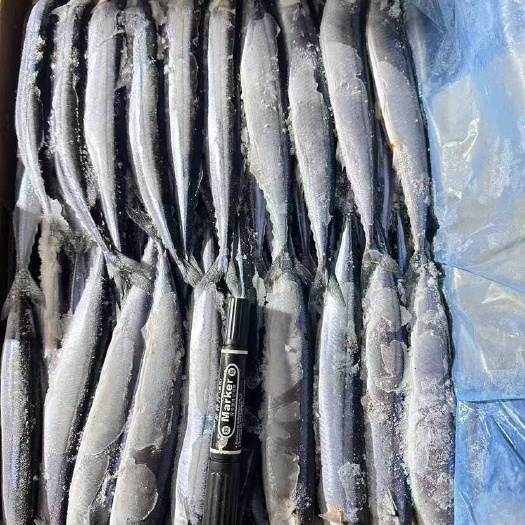 深圳秋刀鱼