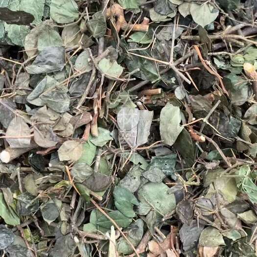 玉林长期供应｛绣花针｝可批量可零售量大从优【包邮】