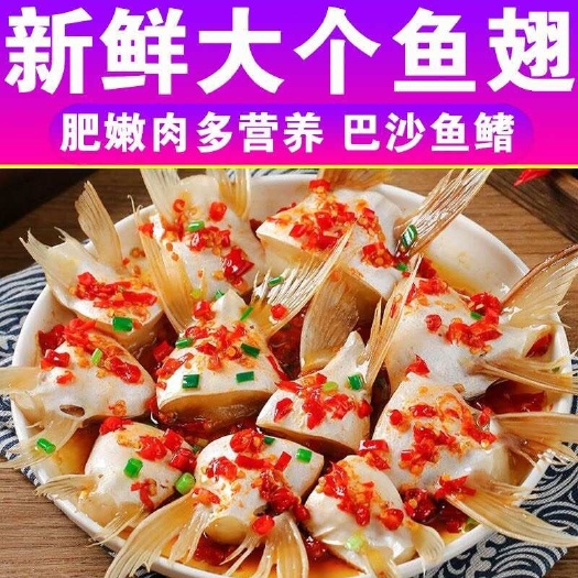 连云港巴沙鱼鳍单冻鱼翅板冻鱼鳍商用烧烤食材