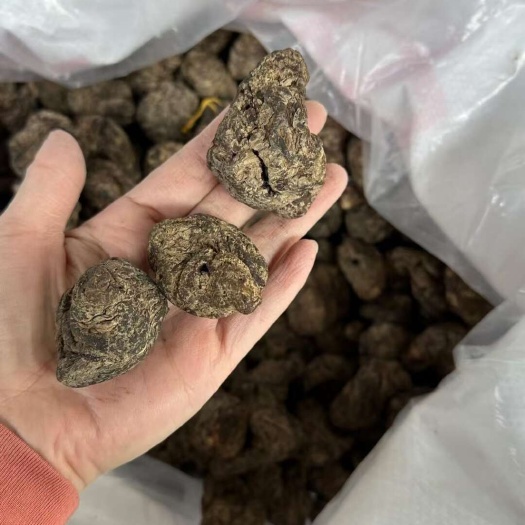 广州生地个 生地黄 生地片 个头大 品质好 货源稳定 现货速发