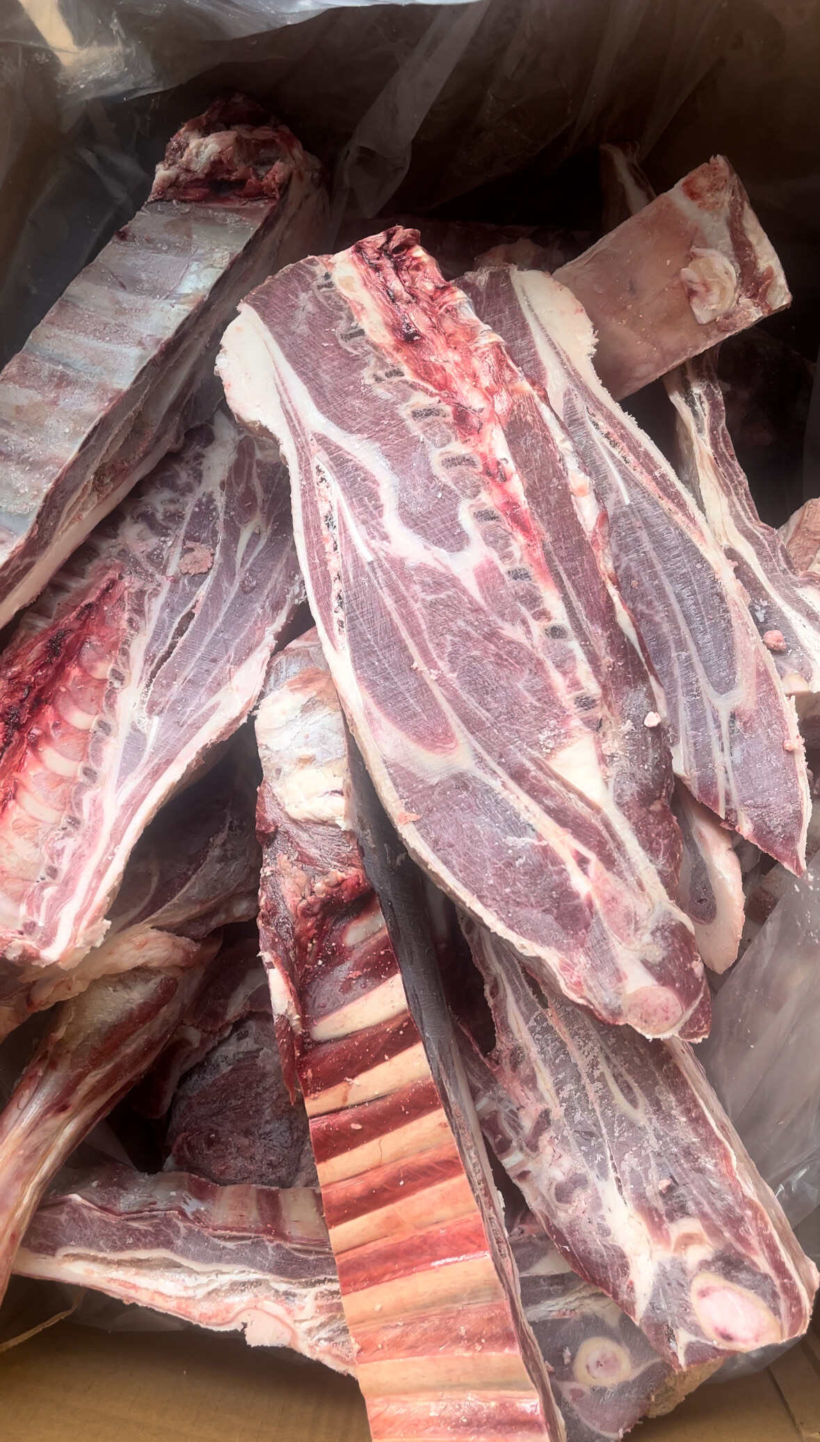 羊酮体，羊四分体