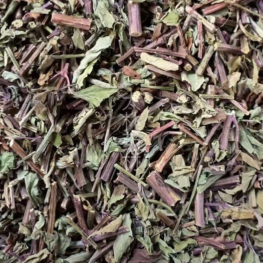 长期供应｛猫须草｝可批量可零售量大从优【包邮】
