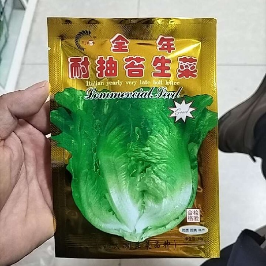 长沙全年生菜种子
