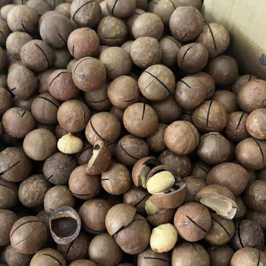 昆明夏威夷果 一手货源 全国发货 支持代发 电商货