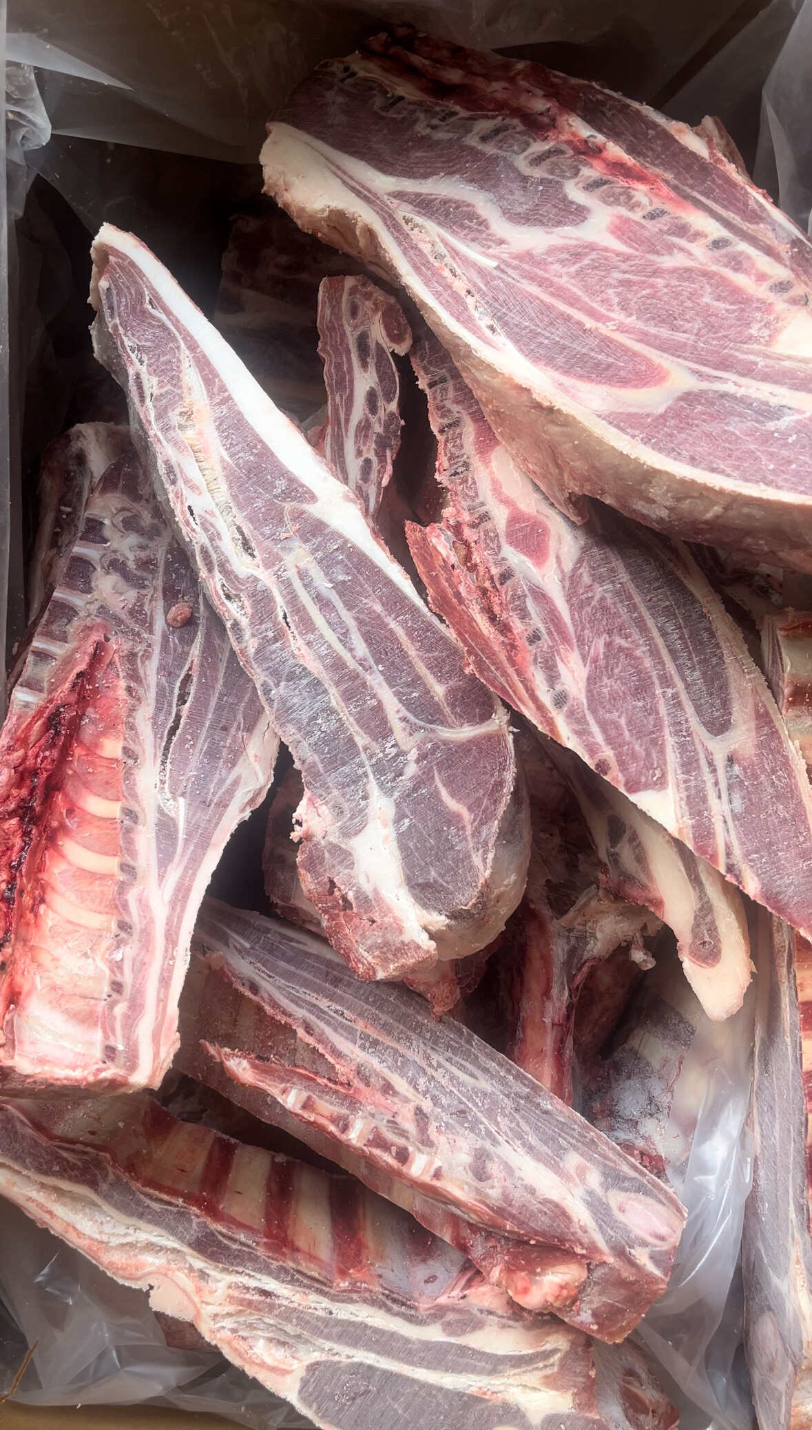 羊酮体，羊四分体