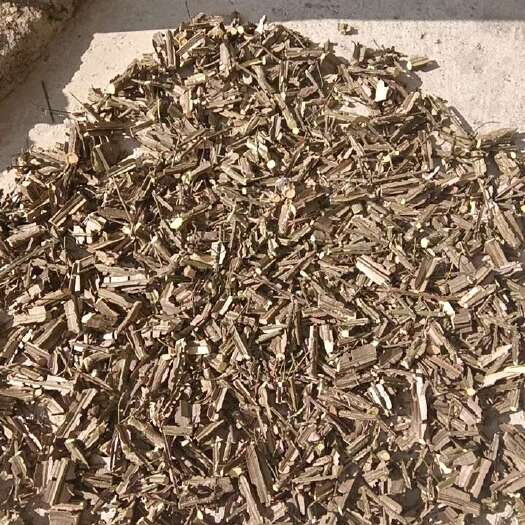 竹溪县鬼箭羽