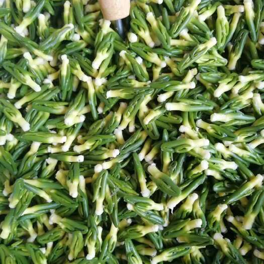 亳州莲芯茶  新货莲子芯茶莲子心天然清心甄选手工精选绿色