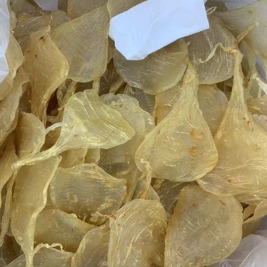 广州鱼胶花胶斗湖鱼胶一手货源