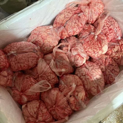 云南昆明牛脑 现货发货 盘龙区直达 保障品质