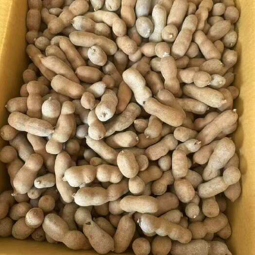 德保县酸甜角 大量有货 一手货源 全国发货