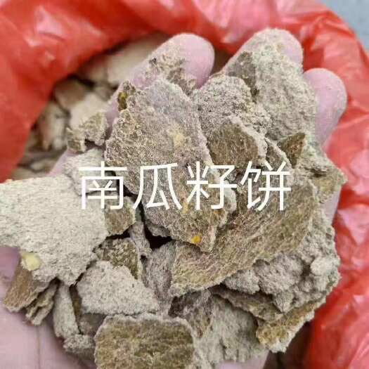 巨鹿县南瓜籽饼