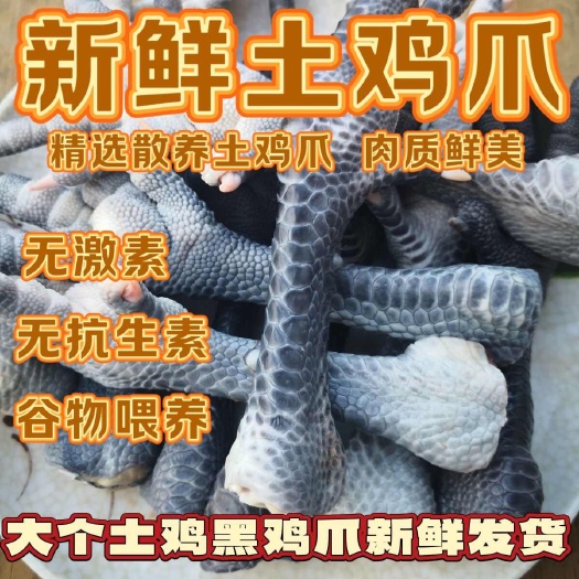 临沂散养土鸡爪 新鲜鸡爪  鸡脚 公鸡爪 乌鸡爪 带骨鸡爪笨鸡爪