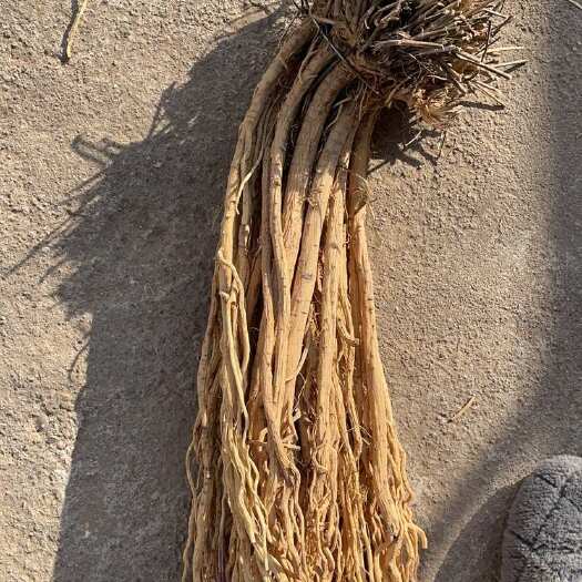陇西县地摊防风，皮色亮，都是大条 无杂质 产地直发