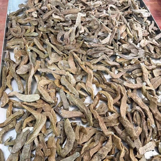 化州市蚂蟥菲牛冻干条